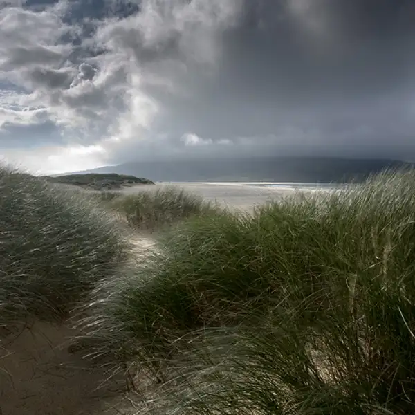Amongst the dunes ...