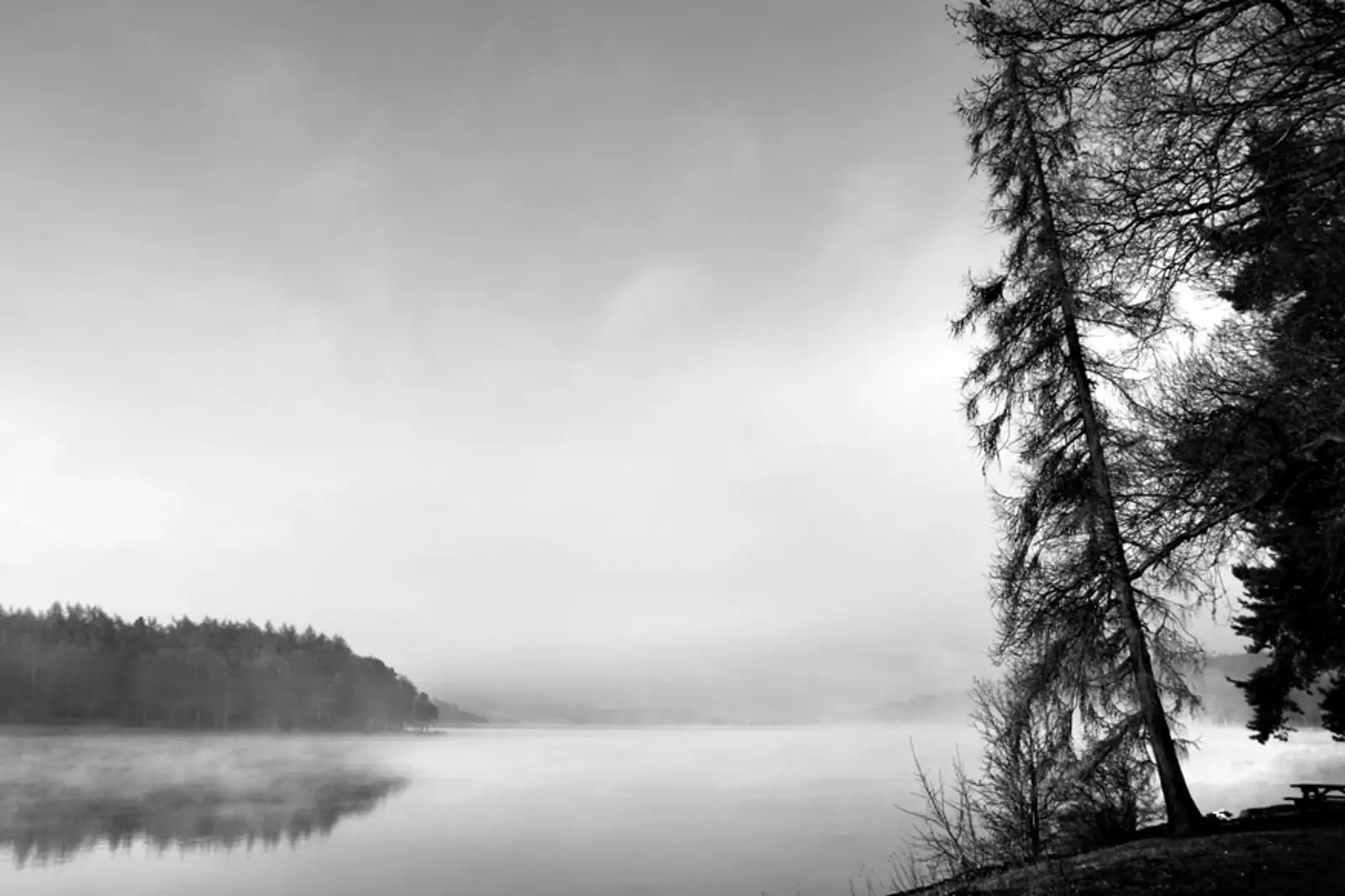 misty morning, swinsty