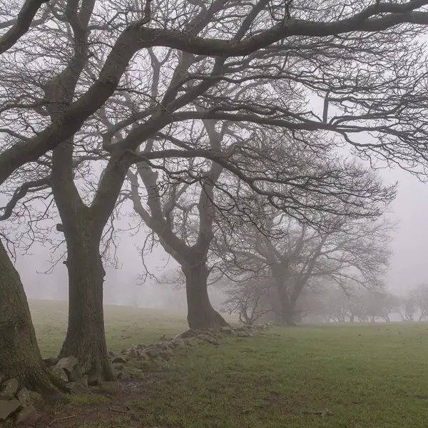 April mists
