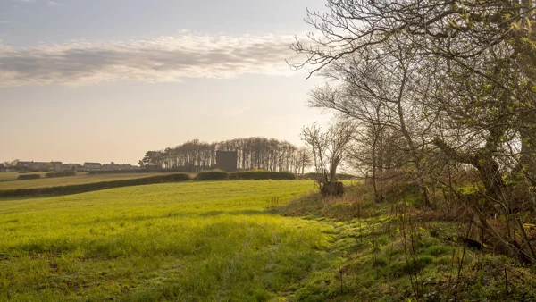 Green farmland with hedgerows and a copse around a brick tower under a hazy spring sky at golden hour, with a village beyond.