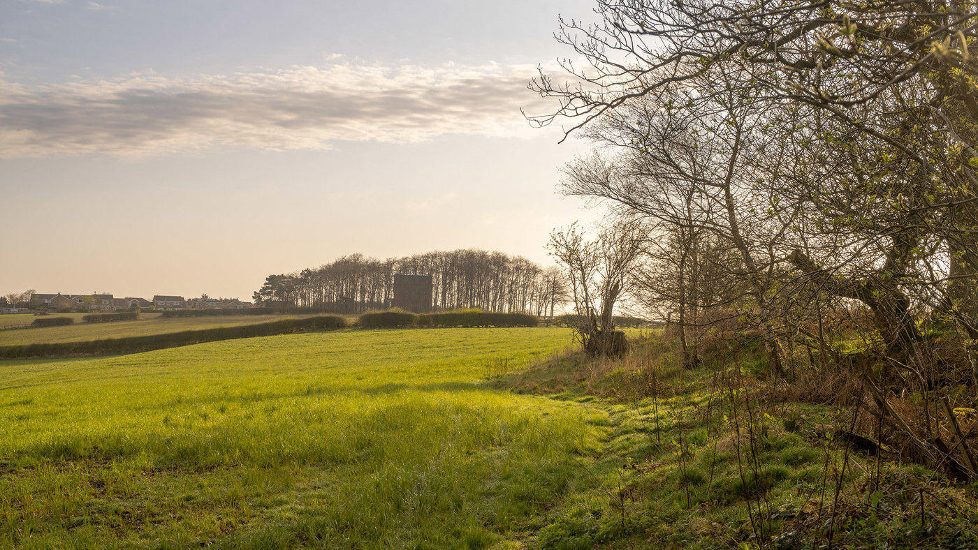  a large green field with trees in the background