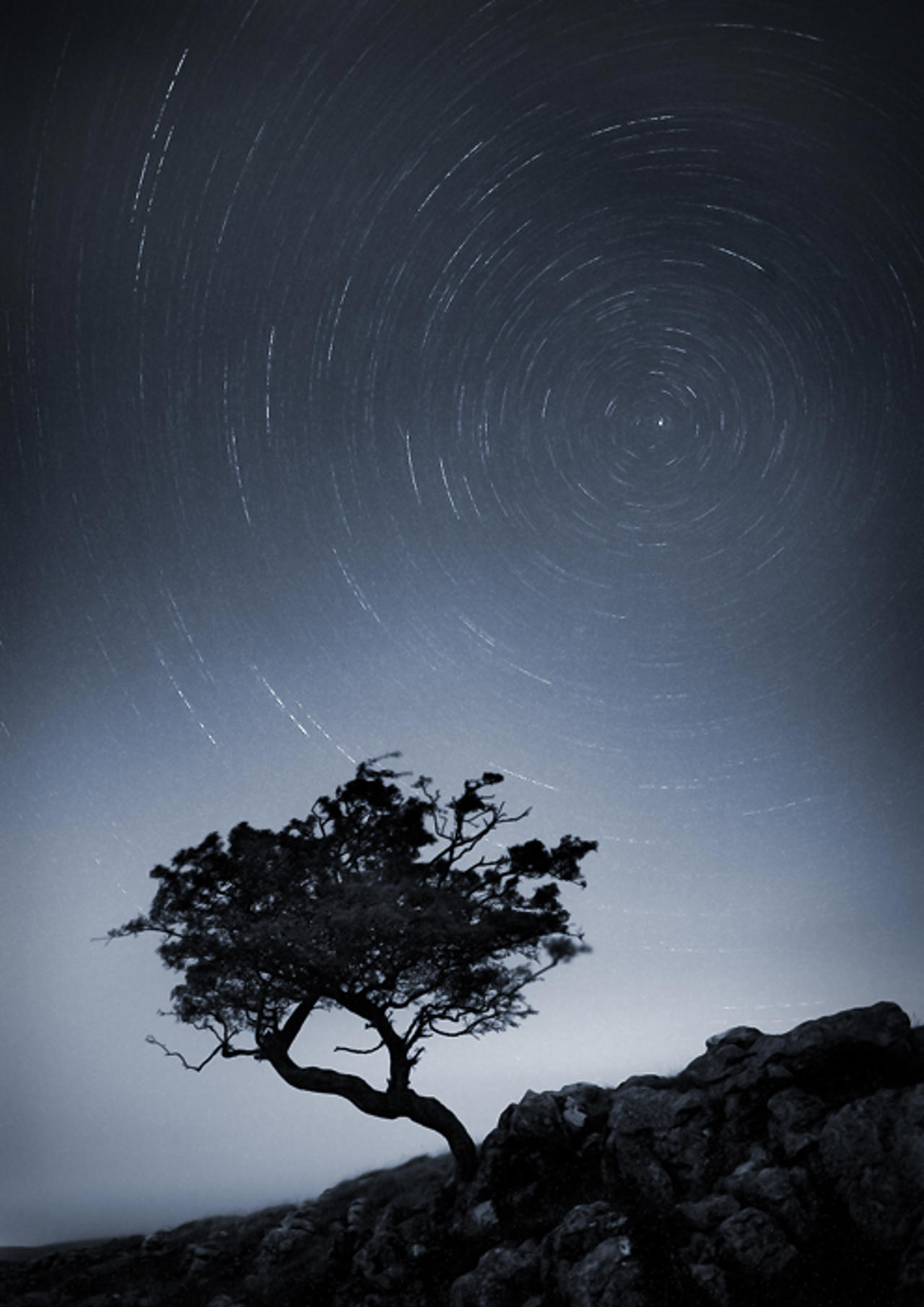 Lift your head to face the stars