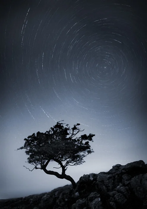Lift your head to face the stars