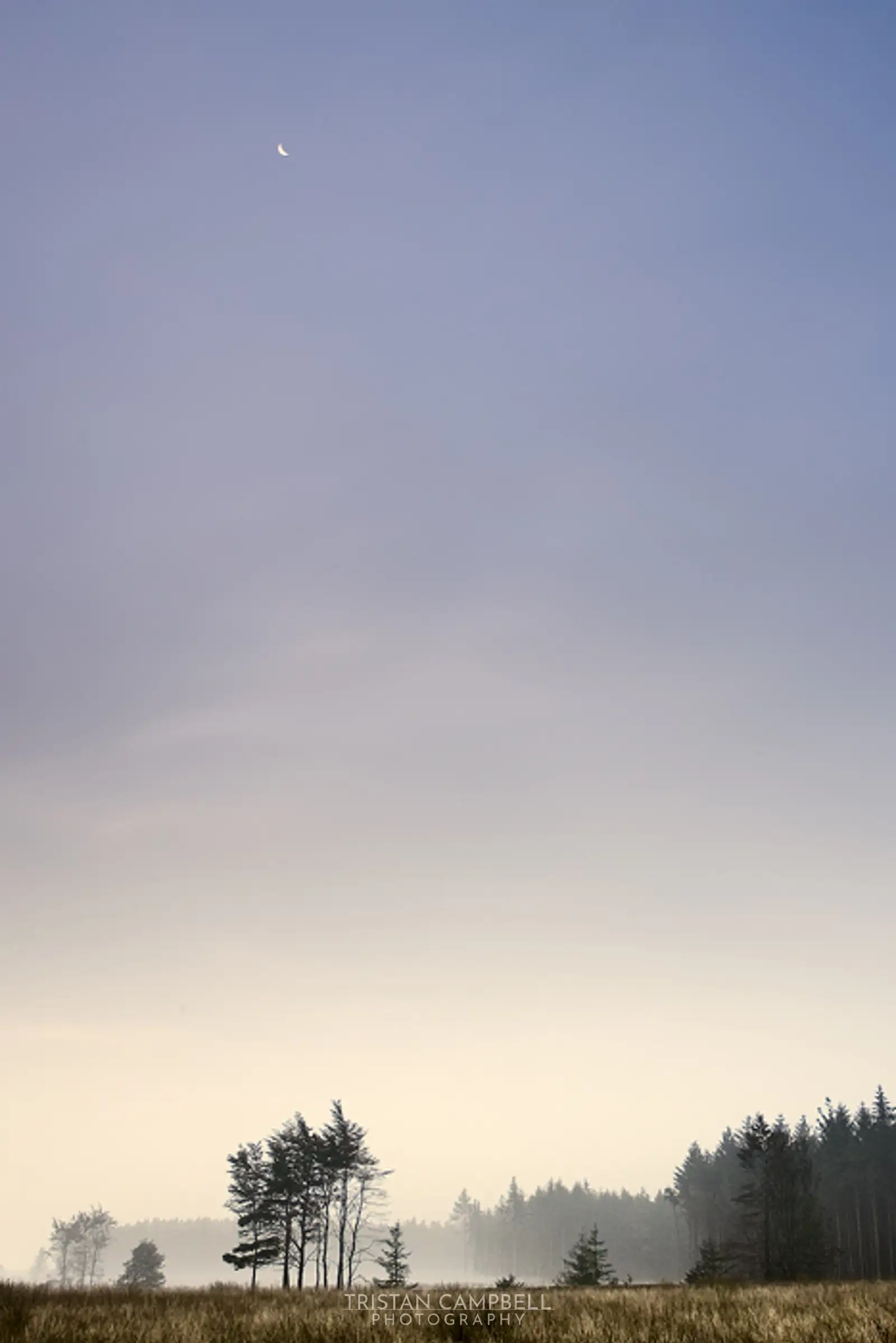 No they can't touch the sky