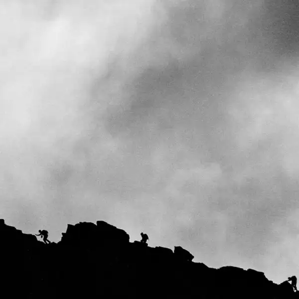 Sharp Edge