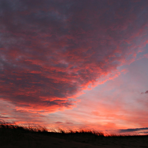 Scarasta Bay at dawn: Scarasta Bay at dawn