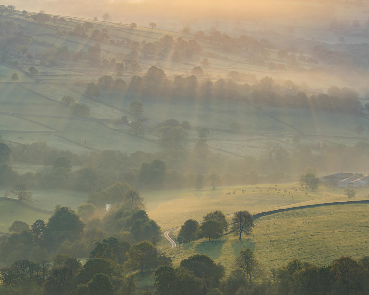 Rolling green hills bathed in soft golden morning light, with sun rays filtering through mist. Trees are scattered across the landscape, and a winding road cuts through the fields. A few buildings and grazing sheep are visible in the distance.