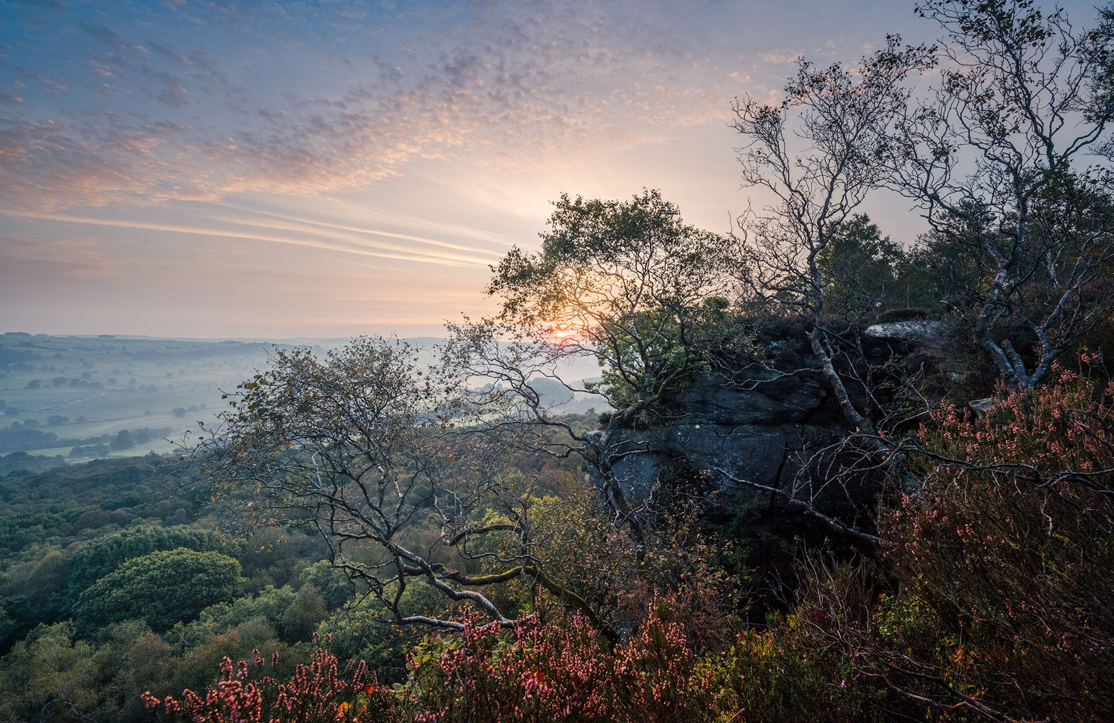 Sunset over a hilly landscape with a vibrant sky transitioning from soft pink to blue. Wispy clouds stretch across the horizon. In the foreground, trees with sparse leaves and rugged branches are silhouetted against the sky, and clusters of pink heather bloom near the rocky cliff edge.