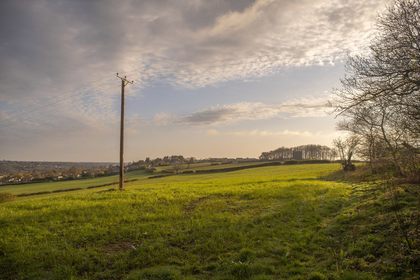  a large green field with trees in the background