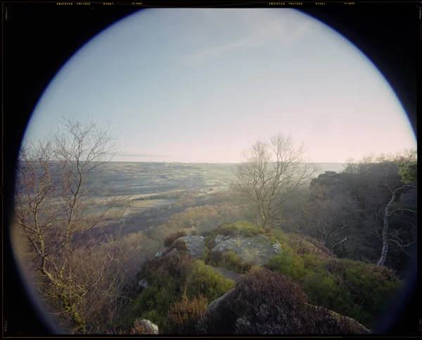 Mossy gritstone boulders and bare trees on a moorland edge above patchwork valley fields at dawn