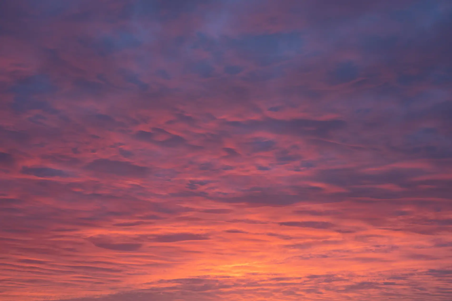 Pink and orange clouds glowing across a wide twilight sky at sunset