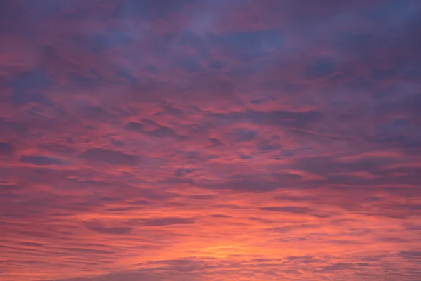 Pink and orange clouds glowing across a wide twilight sky at sunset