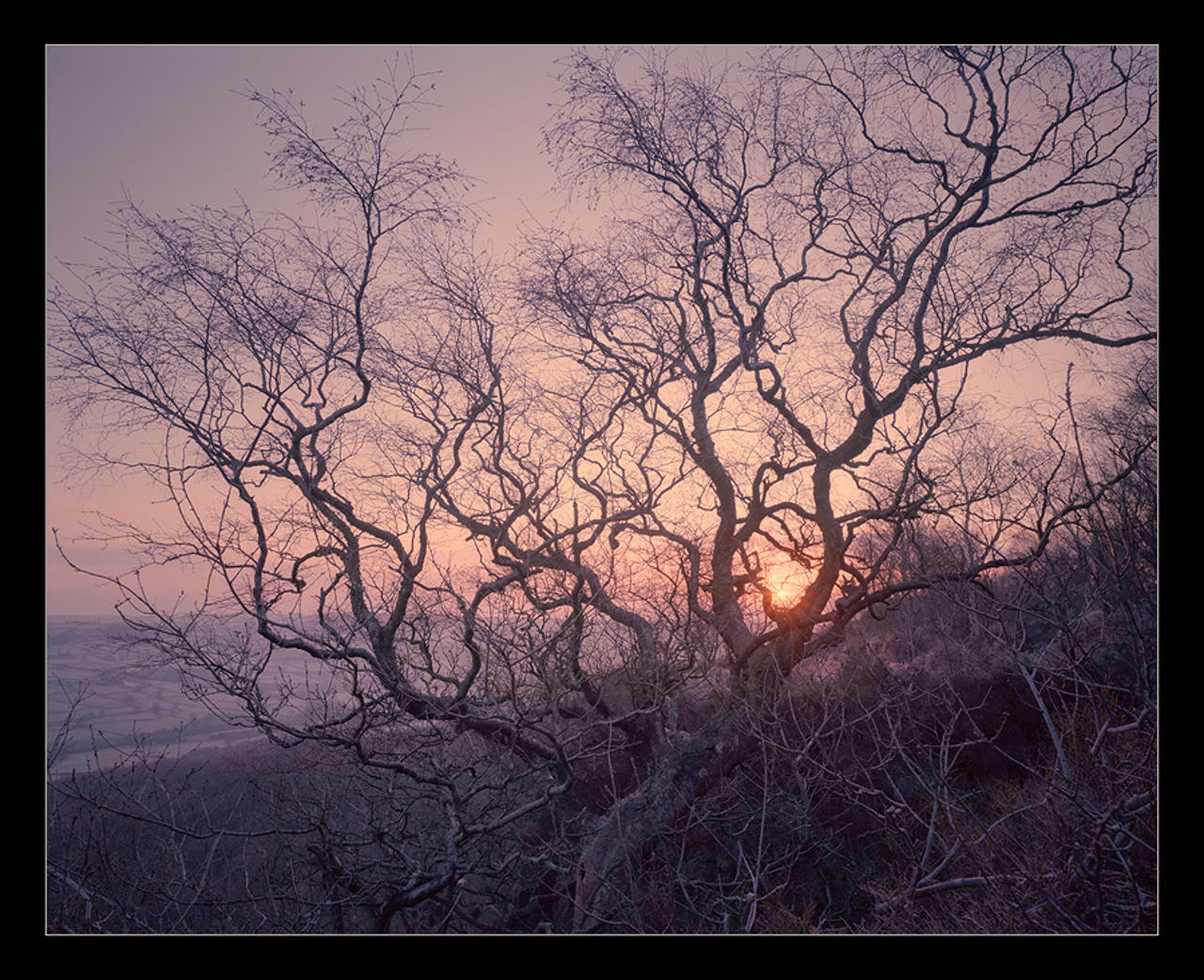 Dawn, 5th March 2009