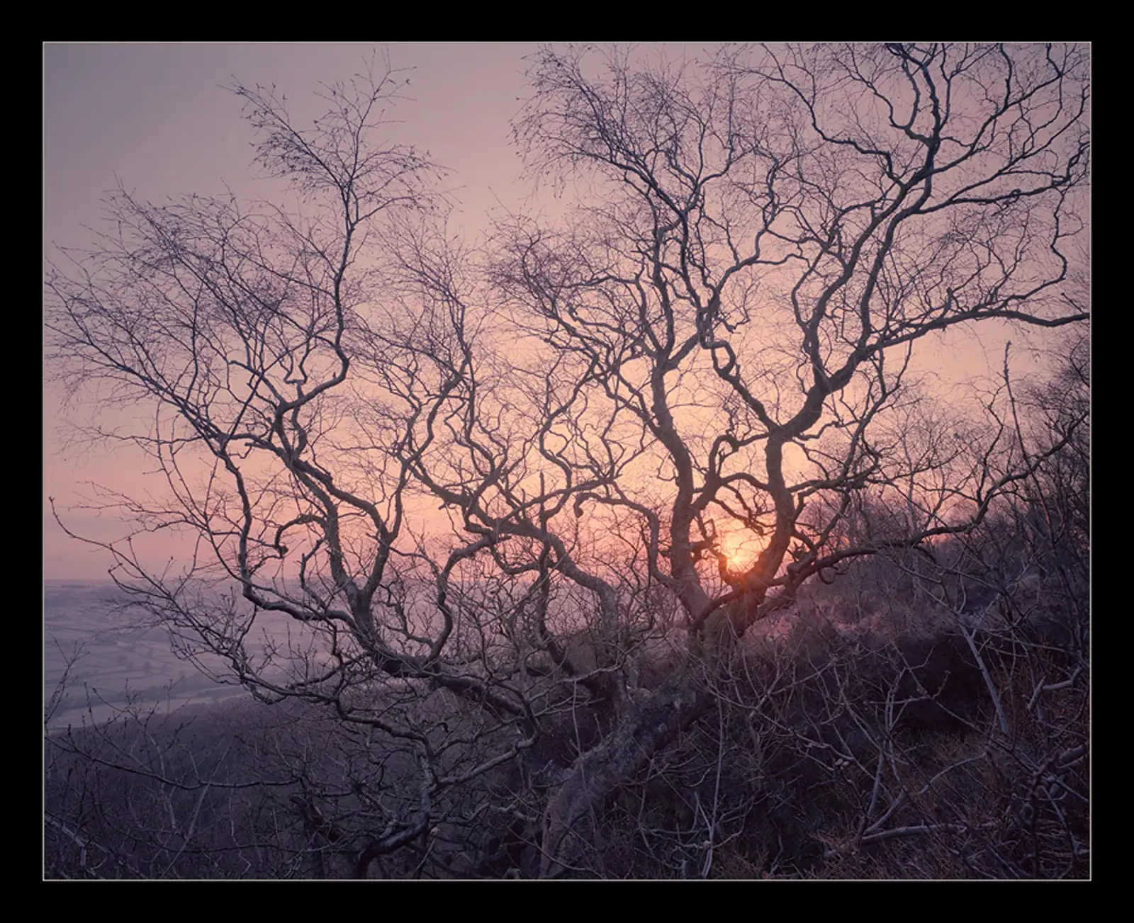 Dawn, 5th March 2009