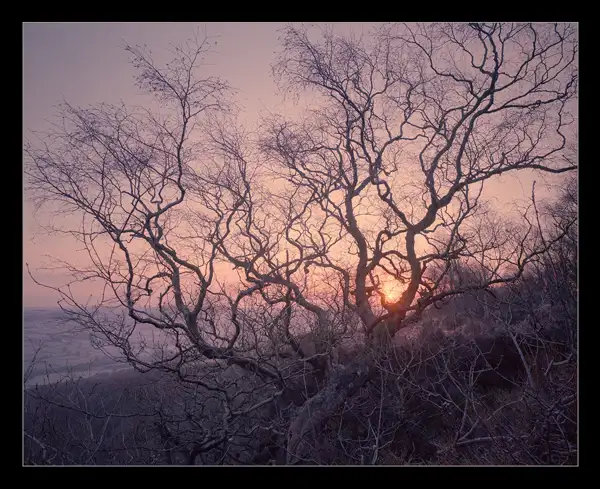 Dawn, 5th March 2009