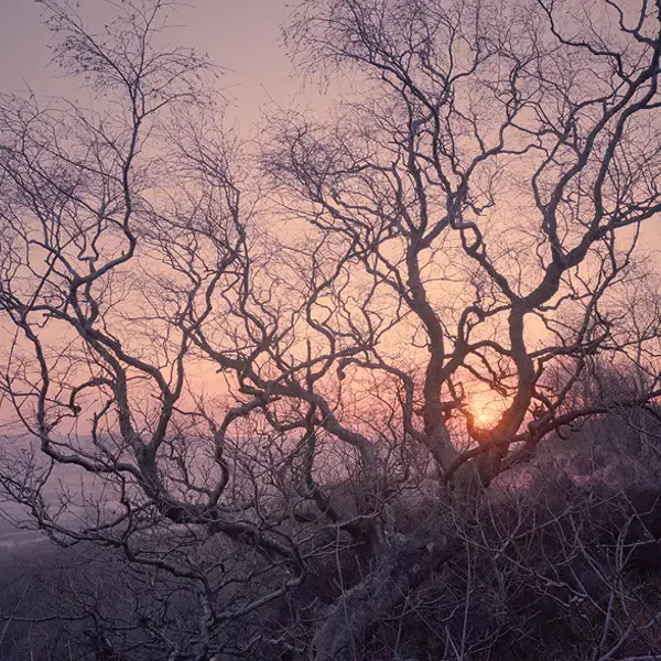 Dawn, 5th March 2009