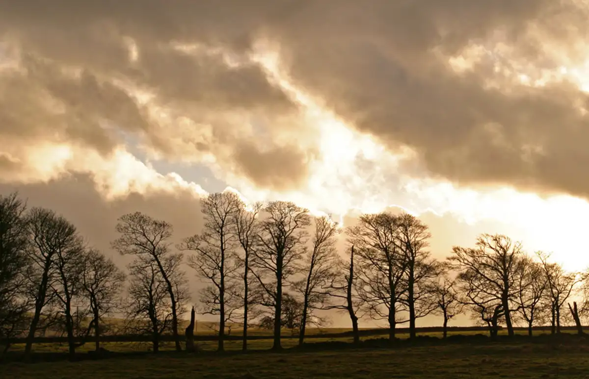 Evening sun, Fewston