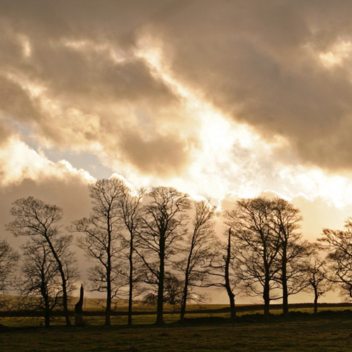 Evening sun, Fewston: Evening sun, Fewston