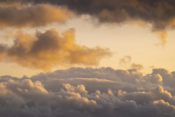 Billowing cumulus clouds glowing gold and grey against a soft sky at sunset