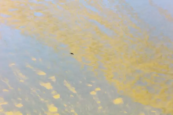 A small bird silhouetted against a textured landscape of sand and shallow water. The mix of blue and beige hues creates a swirling pattern across the surface, giving a sense of depth and movement.