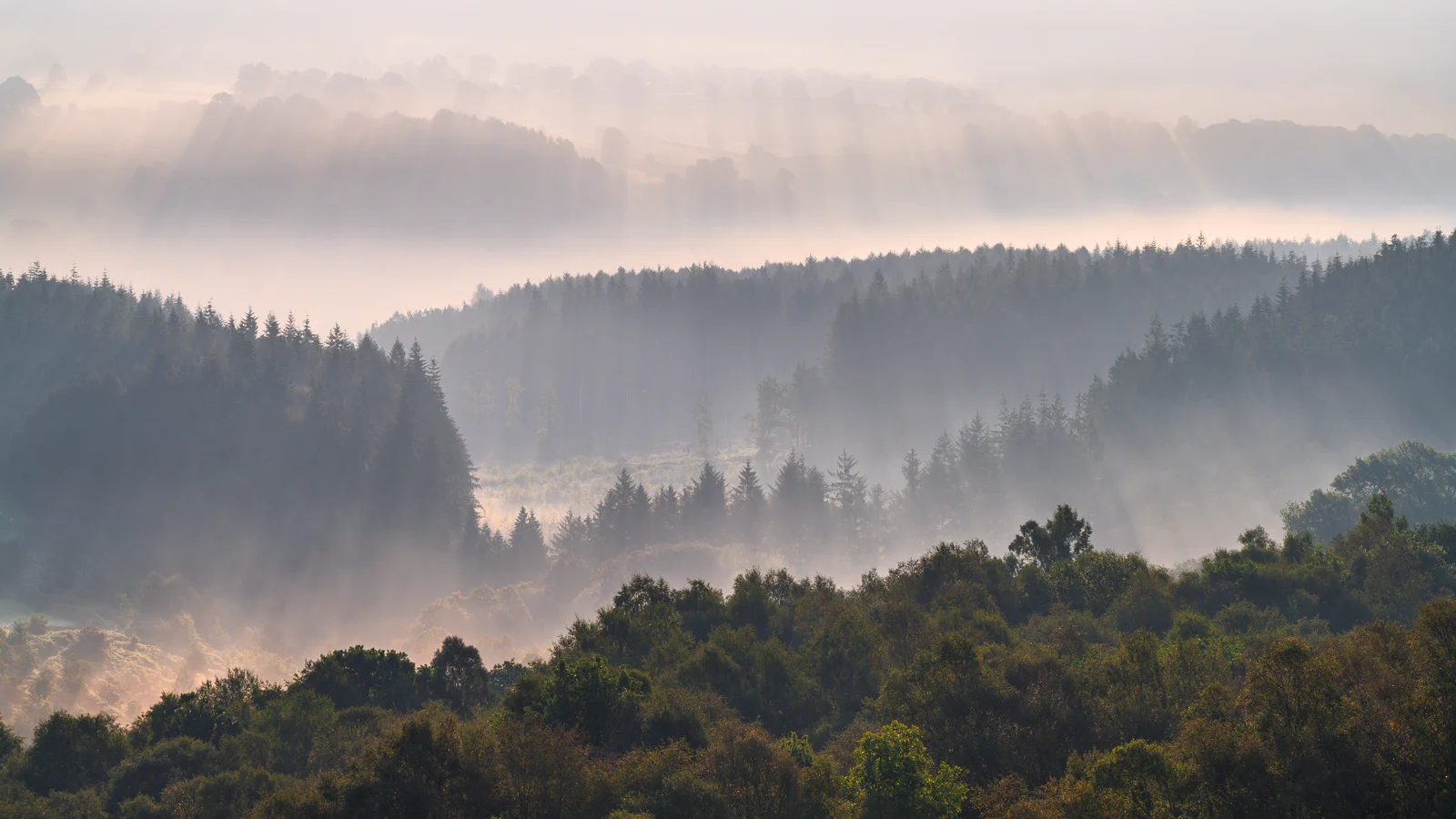 Sunbeams breaking through morning mist over layered forested hills with conifer treetops at dawn.