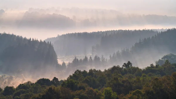 Sunbeams breaking through morning mist over layered forested hills with conifer treetops at dawn.