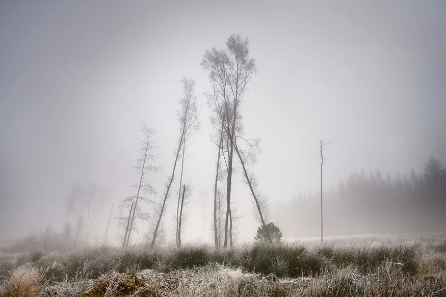 Winters Grip