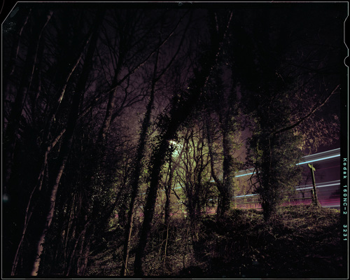 Edge Land:  a group of people in a dark forest