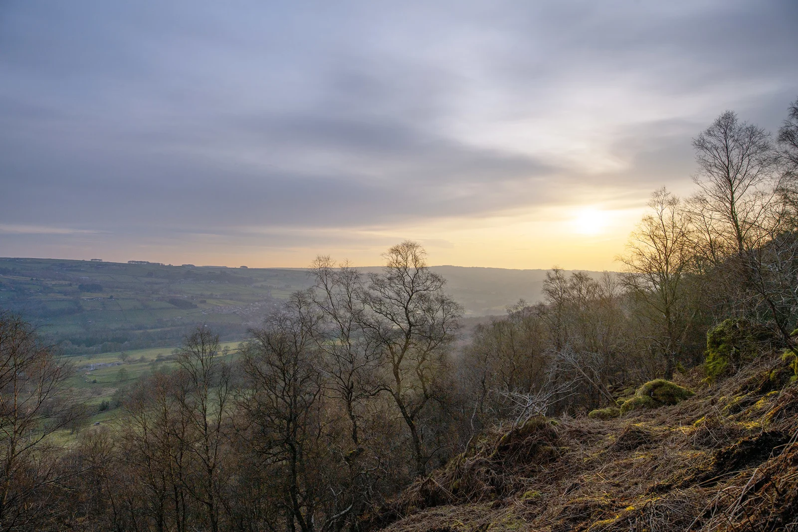 Misty valley at sunrise with bare winter trees on a hillside overlooking patchwork fields