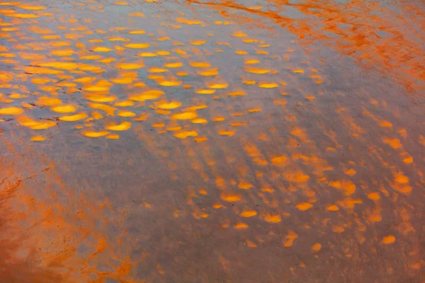 Shallow water with vibrant orange and yellow mineral deposits reflecting light, creating a rippled pattern across the wet sand.