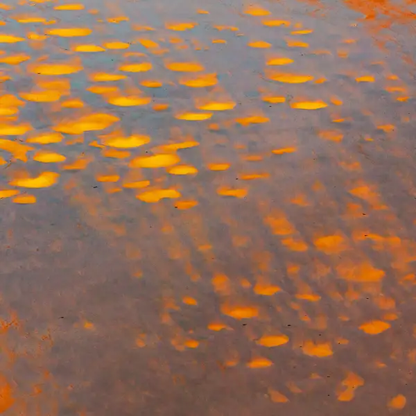 Coastal Reflections