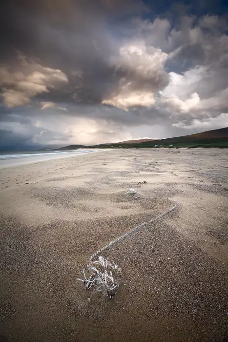 Untitled Seascape 6