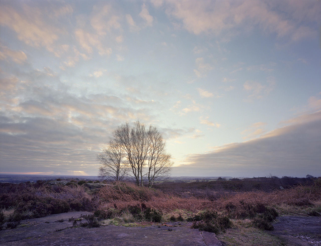 Sleep with no dreaming