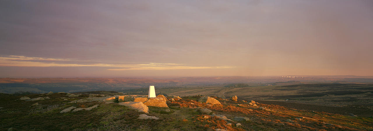 Golden light on moorland