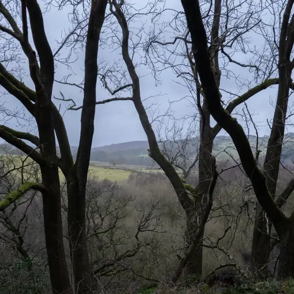 Murky morning brightens