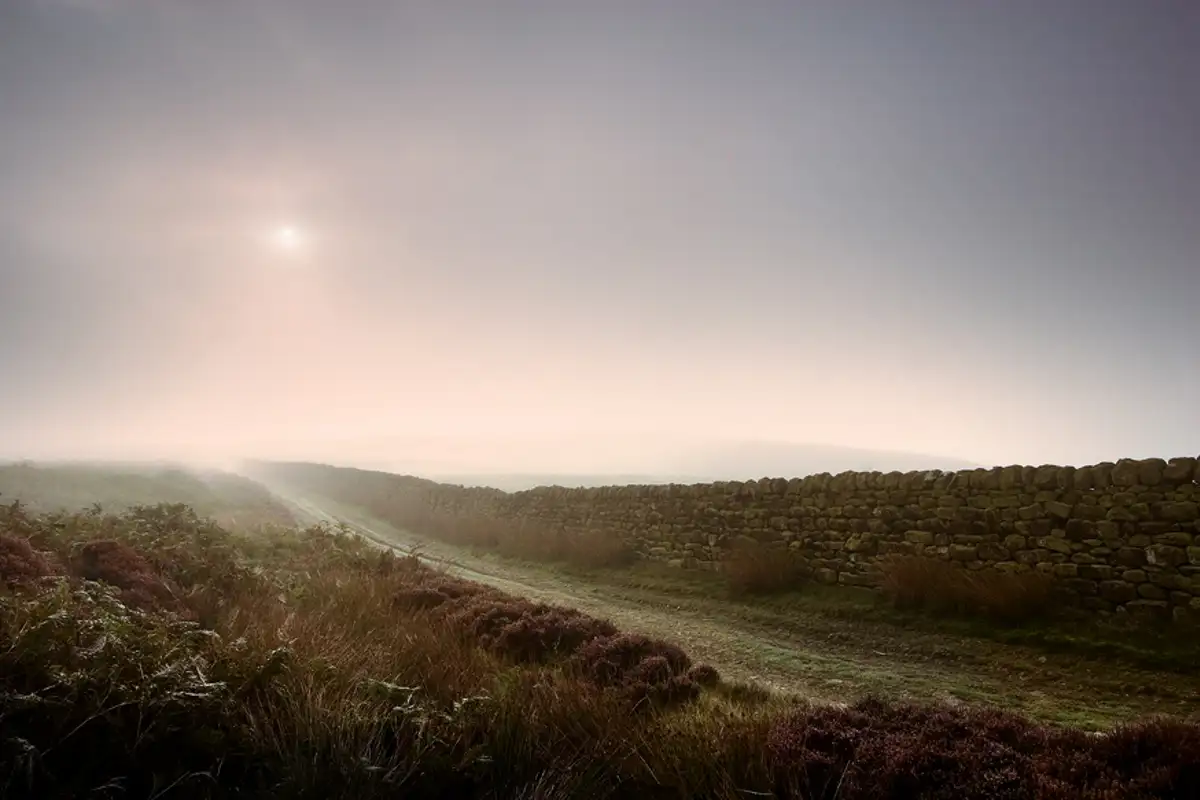 Hall Moor, Blubberhouses