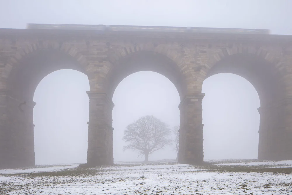 Stone railway viaduct framing a lone bare tree in thick fog, with a passing train and snow-dusted ground in winter.