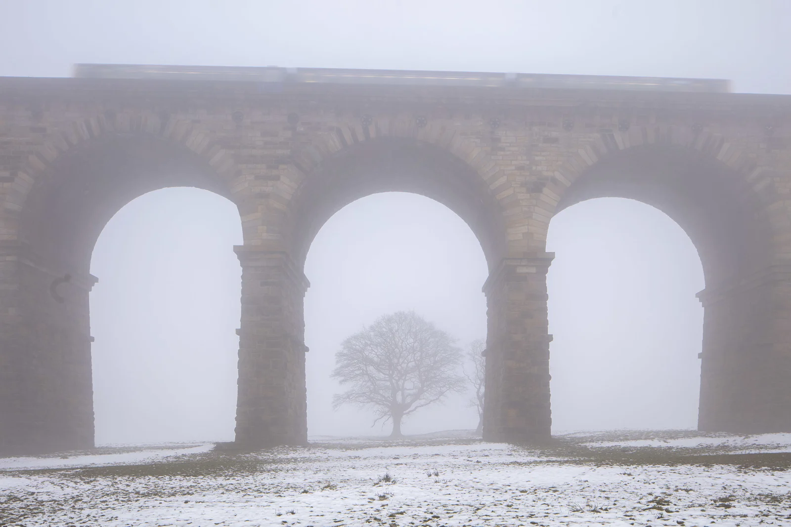 Stone railway viaduct framing a lone bare tree in thick fog, with a passing train and snow-dusted ground in winter.