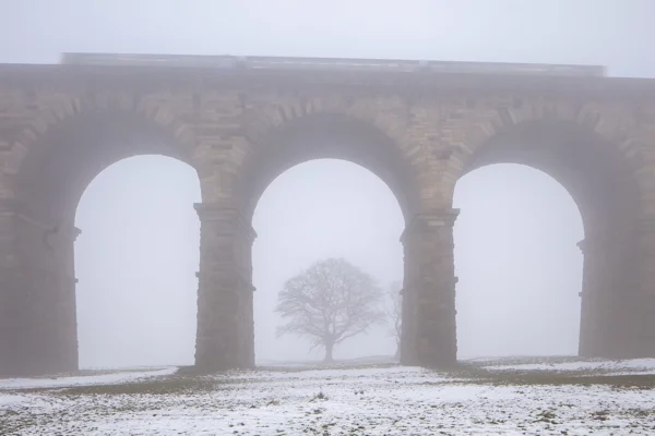 Stone railway viaduct framing a lone bare tree in thick fog, with a passing train and snow-dusted ground in winter.