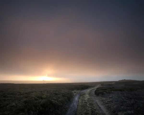moorland track