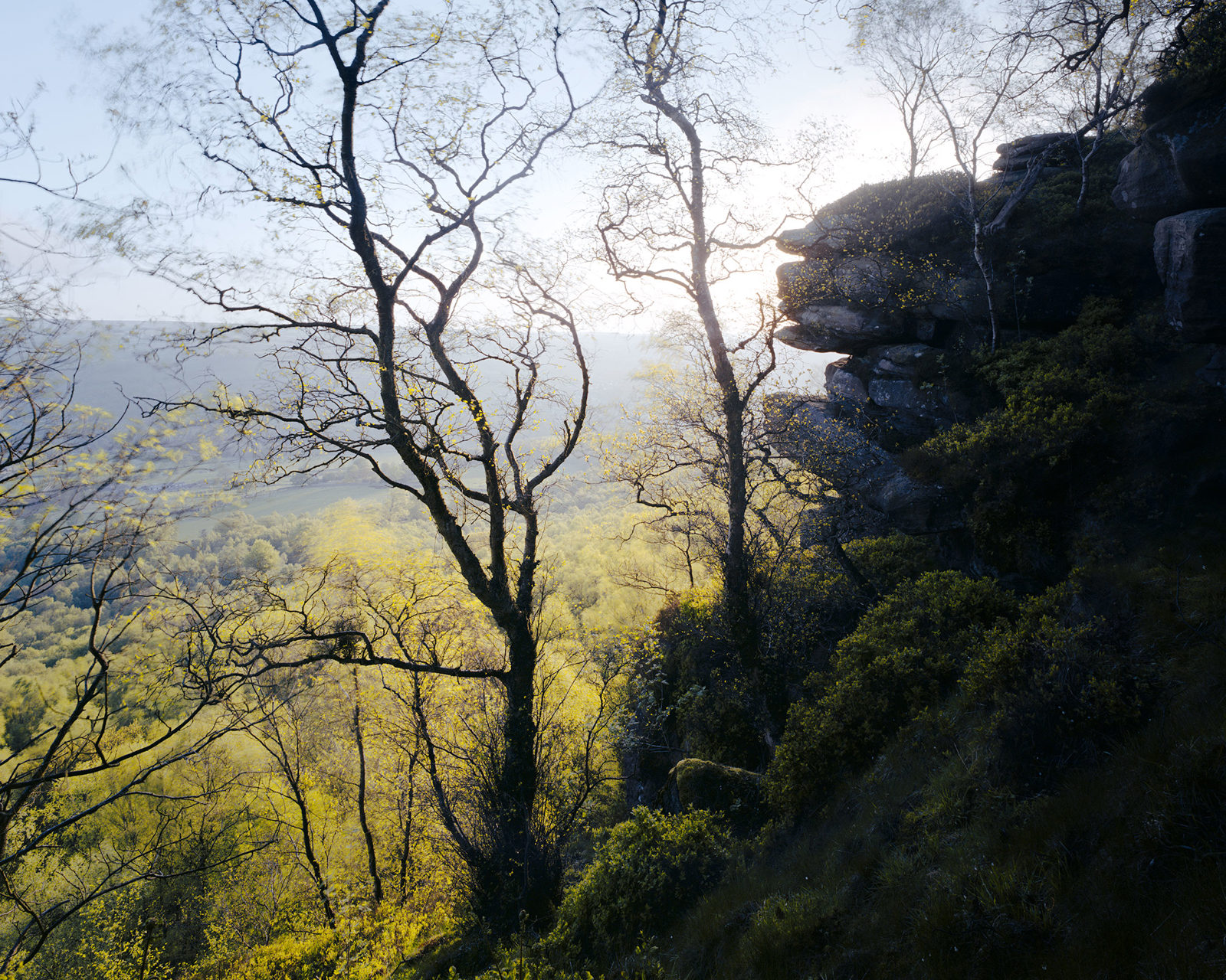 Leafless trees with thin branches silhouetted against a bright, hazy sky. Sunlight illuminates the tops of the lush greenery in a valley below. In the foreground, rugged rocky outcrops with patches of shrubs and moss. The atmosphere is peaceful and serene.