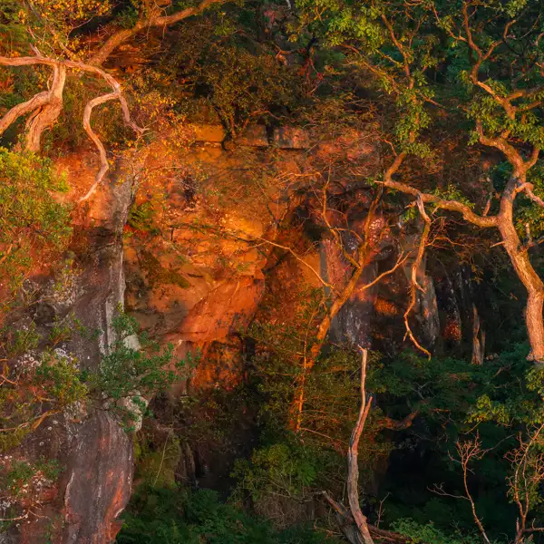 At the edge