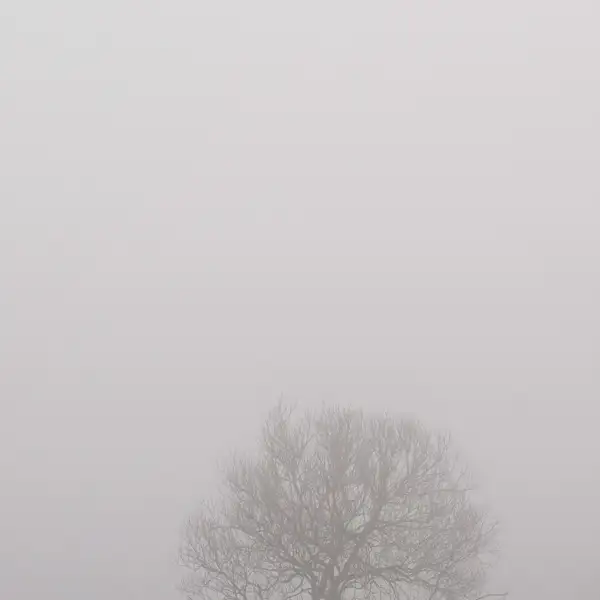 April mists