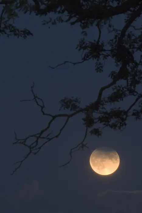 Partial eclipse of the moon, Blubberhouses