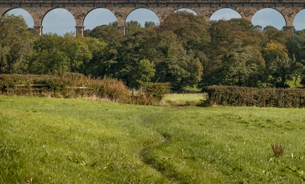 Stone railway viaduct arches above woodland and a grassy meadow with a worn footpath in early autumn sunshine
