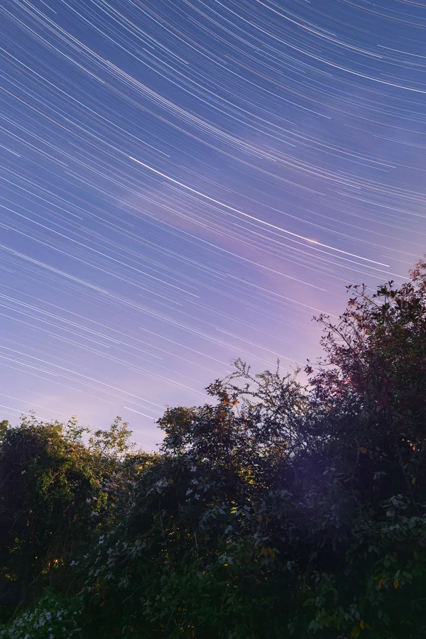 Star trails arcing over a silhouetted woodland hedgerow against a soft purple twilight sky