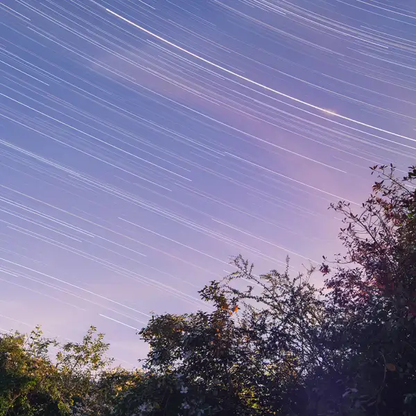 Lockdown Startrails