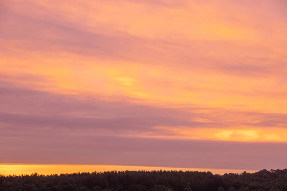 Pink and orange sunset sky above a silhouetted woodland treeline on the horizon