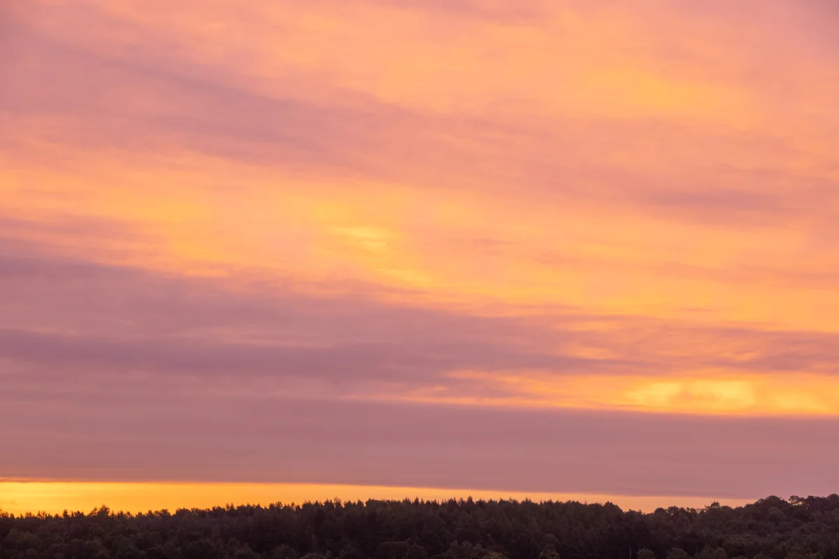Pink and orange sunset sky above a silhouetted woodland treeline on the horizon