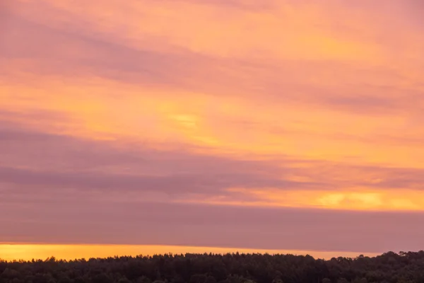 Pink and orange sunset sky above a silhouetted woodland treeline on the horizon
